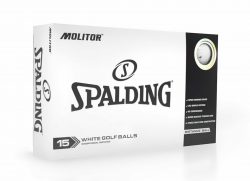 $13 Spalding Molitor Golf Balls (15 Balls)