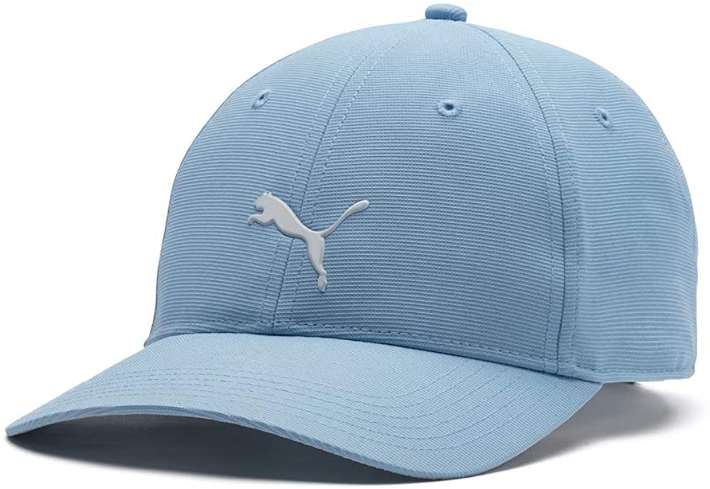 $10 Puma Pounce Cap
