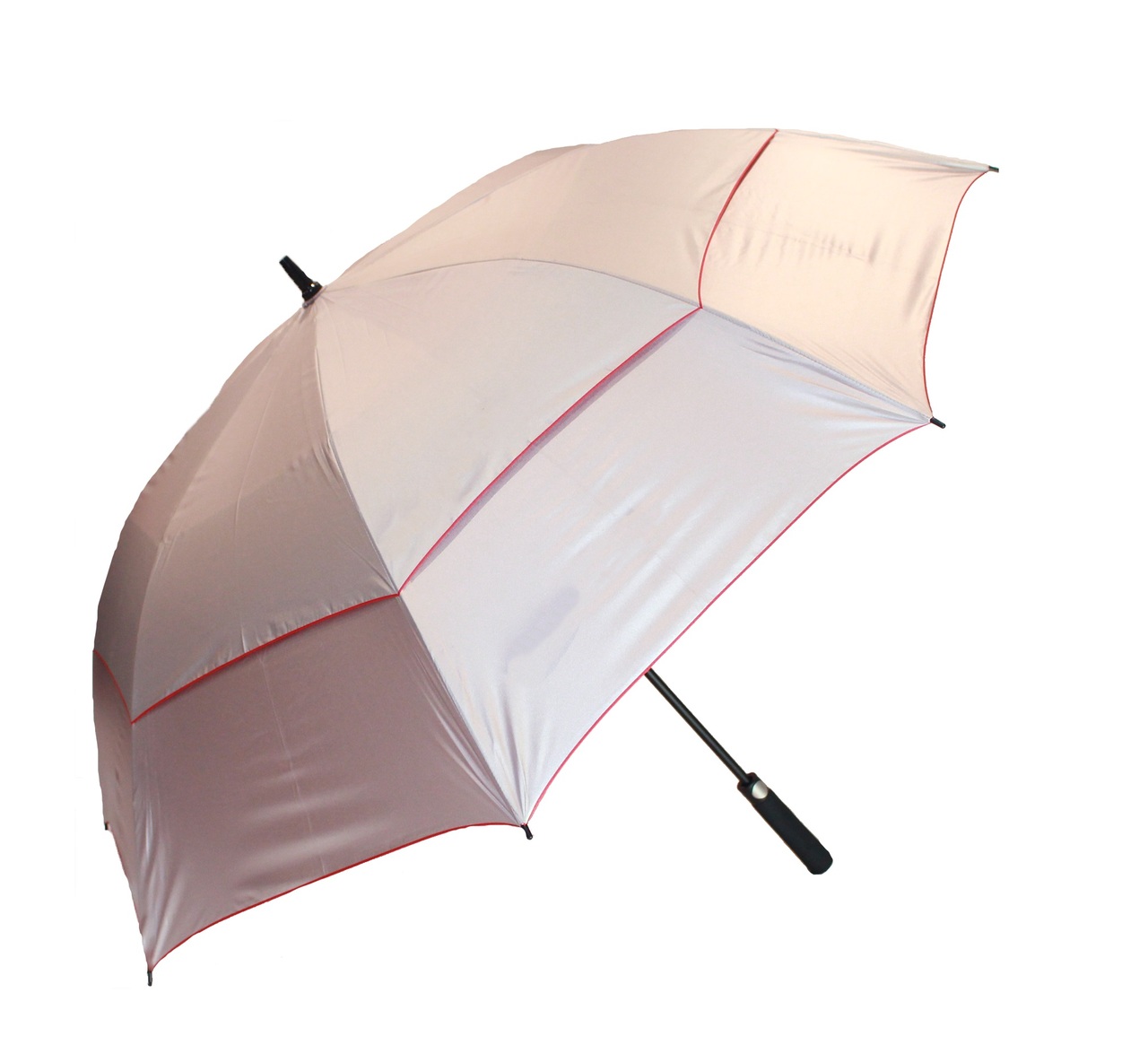 $13 The Weather Company Automatic Windproof Umbrella