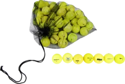 $33.96 for 4 Dozen (48) Yellow Ball Mesh Bag Mix