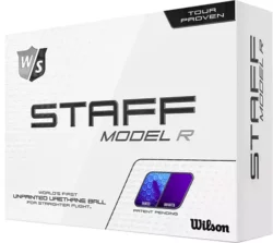 $30 Wilson Model R Golf Balls