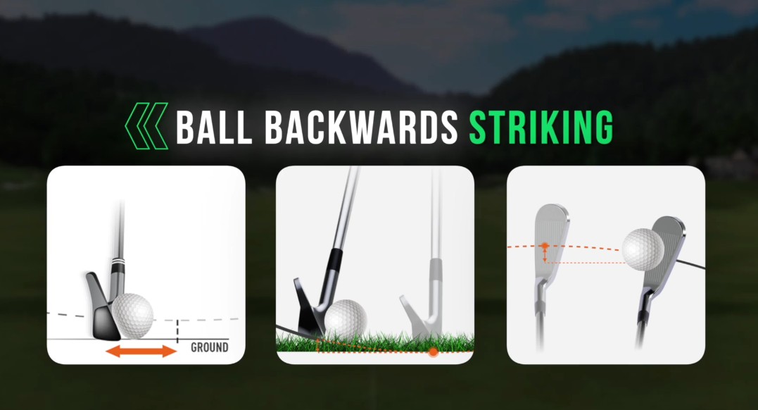 $47 Cameron McCormick – Ball Backwards Blueprint Digital Course